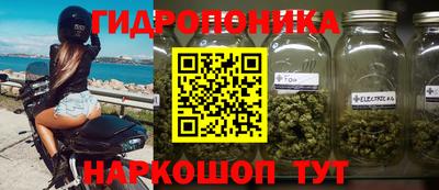 MESCALINE Гатчина