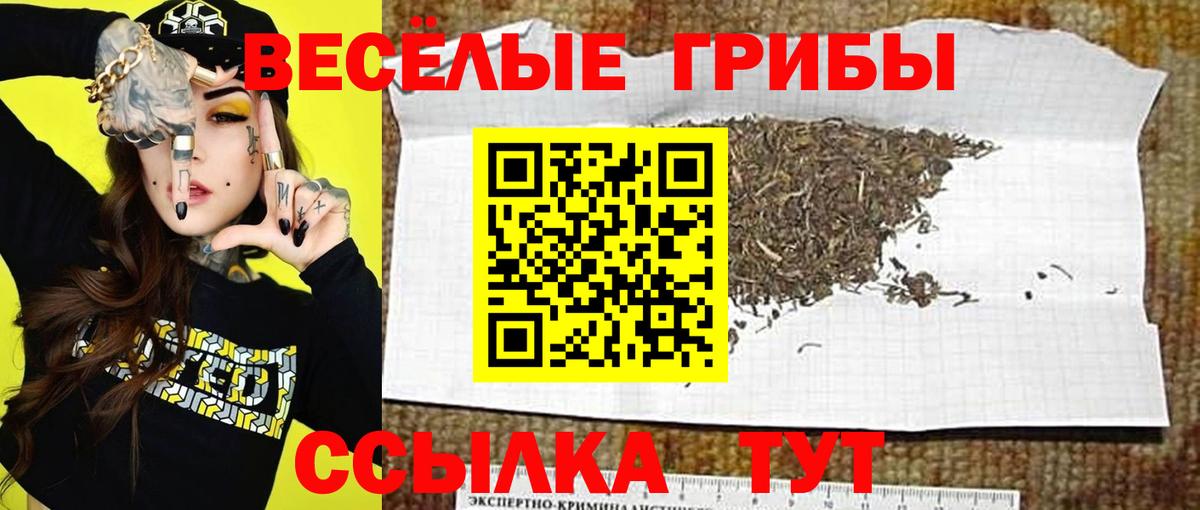 Псилоцибиновые грибы Psilocybine cubensis  Вход с VPN  Нефтекумск 