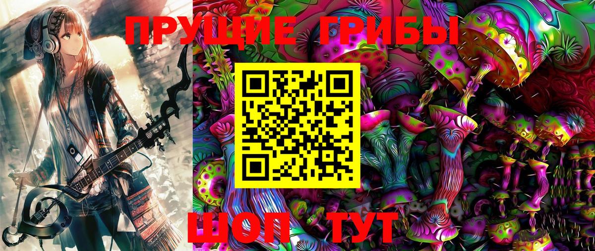 Псилоцибиновые грибы GOLDEN TEACHER Нефтекумск