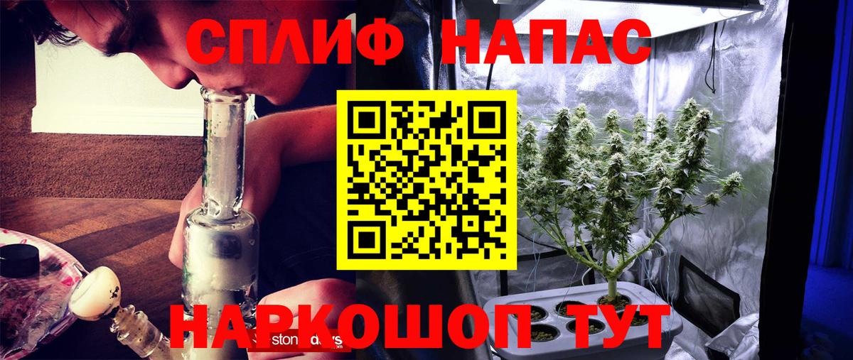 Бошки Шишки VHQ  Бошки Шишки тримм  Вход с VPN  Нефтекумск  Марихуана THC 21% 
